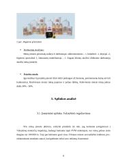 Verslo planas: IĮ "Šuniukų kirpykla" 8 puslapis