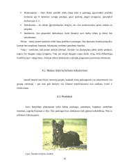 Verslo planas: IĮ "Šuniukų kirpykla" 10 puslapis