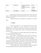 Verslo planas: kaimo turizmo sodyba "Smėlis" 11 puslapis