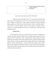 Verslo planas: kaimo turizmo sodyba "Smėlis" 13 puslapis