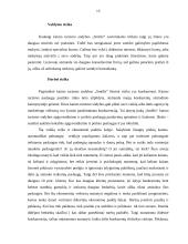 Verslo planas: kaimo turizmo sodyba "Smėlis" 14 puslapis