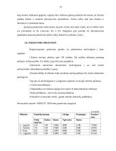 Verslo planas: kaimo turizmo sodyba "Smėlis" 15 puslapis