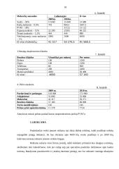 Verslo planas: kaimo turizmo sodyba "Smėlis" 19 puslapis