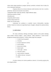 Verslo planas: kaimo turizmo sodyba "Smėlis" 20 puslapis