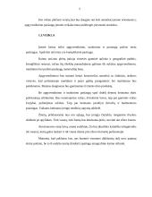 Verslo planas: kaimo turizmo sodyba "Smėlis" 4 puslapis