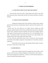 Verslo planas: kaimo turizmo sodyba "Smėlis" 5 puslapis