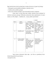 Verslo planas: kaimo turizmo sodyba "Smėlis" 6 puslapis