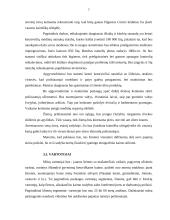 Verslo planas: kaimo turizmo sodyba "Smėlis" 8 puslapis