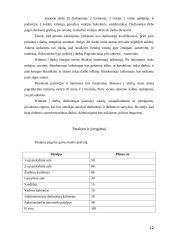 Verslo planas: kavinė IĮ "Dangus" 12 puslapis