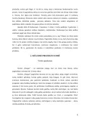 Verslo planas: kavinė IĮ "Dangus" 3 puslapis