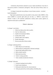 Verslo planas: kavinė IĮ "Dangus" 4 puslapis