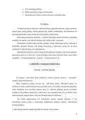 Verslo planas: kavinė IĮ "Dangus" 5 puslapis