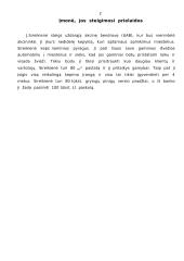 Verslo planas: kepykla 2 puslapis