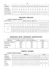 Verslo planas: kepykla 16 puslapis