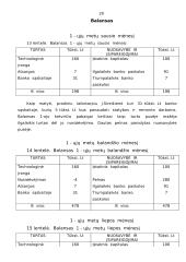Verslo planas: kepykla 20 puslapis
