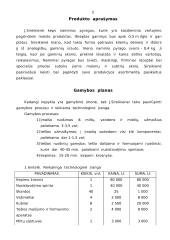 Verslo planas: kepykla 3 puslapis