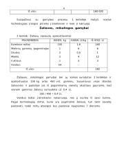 Verslo planas: kepykla 4 puslapis