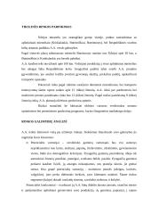 Verslo planas: kepykla UAB "Skanėstai" 4 puslapis