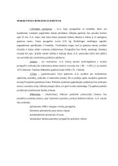 Verslo planas: kepykla UAB "Skanėstai" 6 puslapis