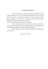 Verslo planas: kepykla UAB "Skanėstai" 10 puslapis