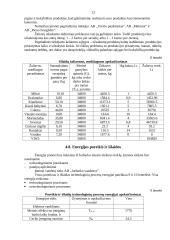 Verslo planas: konditerijos įmonė IĮ "Aušrinė" 13 puslapis