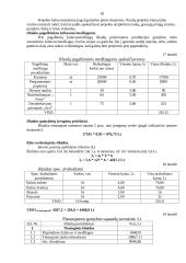 Verslo planas: konditerijos įmonė IĮ "Aušrinė" 18 puslapis