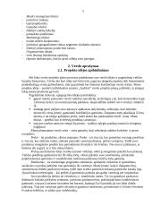 Verslo planas: konditerijos įmonė IĮ "Aušrinė" 5 puslapis