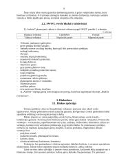 Verslo planas: konditerijos įmonė IĮ "Aušrinė" 6 puslapis