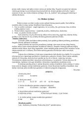 Verslo planas: konditerijos įmonė IĮ "Aušrinė" 7 puslapis