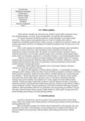 Verslo planas: konditerijos įmonė IĮ "Aušrinė" 9 puslapis