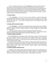 Verslo planas: krovinių ir keleivių vežimas UAB "Transšukšta" 12 puslapis