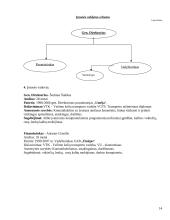 Verslo planas: krovinių ir keleivių vežimas UAB "Transšukšta" 14 puslapis