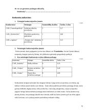 Verslo planas: krovinių ir keleivių vežimas UAB "Transšukšta" 16 puslapis