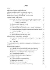 Verslo planas: ledų gamyba "Šaltukas" 2 puslapis