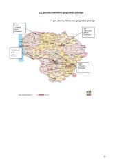 Verslo planas: ledų gamyba "Šaltukas" 11 puslapis