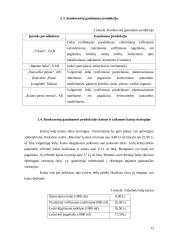 Verslo planas: ledų gamyba "Šaltukas" 12 puslapis