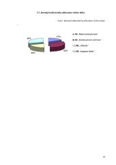 Verslo planas: ledų gamyba "Šaltukas" 14 puslapis