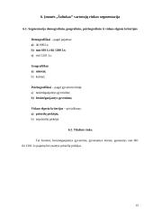 Verslo planas: ledų gamyba "Šaltukas" 15 puslapis