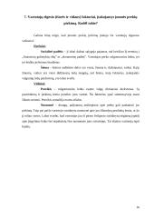 Verslo planas: ledų gamyba "Šaltukas" 16 puslapis