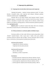 Verslo planas: ledų gamyba "Šaltukas" 17 puslapis