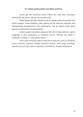 Verslo planas: ledų gamyba "Šaltukas" 19 puslapis