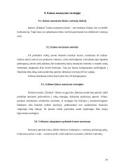 Verslo planas: ledų gamyba "Šaltukas" 20 puslapis