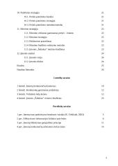 Verslo planas: ledų gamyba "Šaltukas" 3 puslapis