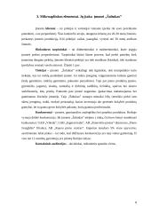 Verslo planas: ledų gamyba "Šaltukas" 8 puslapis