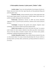 Verslo planas: ledų gamyba "Šaltukas" 9 puslapis