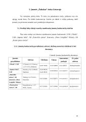 Verslo planas: ledų gamyba "Šaltukas" 10 puslapis