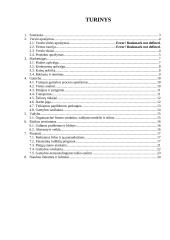 Verslo planas: moliniai dirbiniai UAB "Molinukas" 2 puslapis