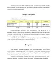 Verslo planas: moliniai dirbiniai UAB "Molinukas" 11 puslapis