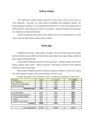 Verslo planas: moliniai dirbiniai UAB "Molinukas" 12 puslapis