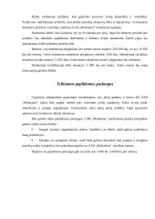 Verslo planas: moliniai dirbiniai UAB "Molinukas" 13 puslapis